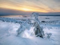 Winter dawn with a fancy tree plastered with snow. Magical bizarre silhouettes of trees are plastered with snow. Arctic harsh