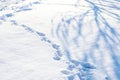 Winter day: a shadow from a birch falls on a path made of footprints on white snow, space for text