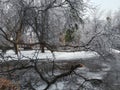 Winter day stroll in a frozen park