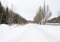 Winter day. Trees under the snow. Nature in the city. Urban environment. After a snowfall Royalty Free Stock Photo