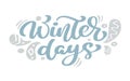 Winter days blue Christmas vintage calligraphy lettering vector text with winter scandinavian drawing decor. For art