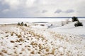 Winter in Dead dunes Royalty Free Stock Photo