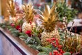 Winter decor. Beautiful arrangement of golden colored pineapples, red roses, natural sprigs of blue spruce and Christmas berry