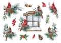 Winter decor with cardinal birds set. Watercolor illustration. Hand drawn natural decor with red cardinal bird, pine Royalty Free Stock Photo