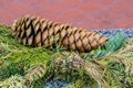 Winter decor - Pinecone on granite beside a tied bunch of evergreen branches with blurred tile in background - selective focus