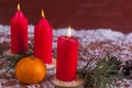 Winter decoration with mandarins and burning candles and fir branches Royalty Free Stock Photo