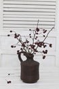 Winter Decoraton Rustic Style With Berry Twigs In Vase