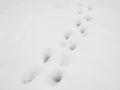 Winter, deep footprints in the snow