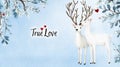 Winter Deer True Love Two white deer winter scene love romance affection Symbolizes unity tenderness devotion peace Royalty Free Stock Photo