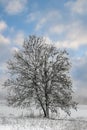 Winter in Denmark Royalty Free Stock Photo