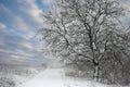 Winter in Denmark Royalty Free Stock Photo