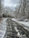 Winter in Denmark Royalty Free Stock Photo