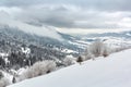 Winter diagonal landscape with snow-covered trees