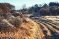 Winter Dirt Road