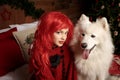 Winter dog holiday and Christmas. A girl in a knitted sweater and with red hair with a pet in the studio. Christmas Royalty Free Stock Photo