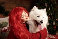 Winter dog holiday and Christmas. A girl in a knitted sweater and with red hair with a pet in the studio. Christmas Royalty Free Stock Photo