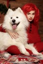 Winter dog holiday and Christmas. A girl in a knitted sweater and with red hair with a pet in the studio. Christmas Royalty Free Stock Photo