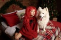 Winter dog holiday and Christmas. A girl in a knitted sweater and with red hair with a pet in the studio. Christmas Royalty Free Stock Photo