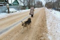 Winter dog road woman