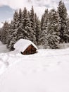 Winter dolomites cabin forest