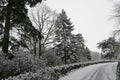 Dorset under snow. A tree lined country road. Royalty Free Stock Photo
