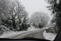 Winter driving, snow covered trees lining rural road