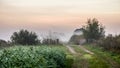 Winter early morning sun on late autumn grass path Royalty Free Stock Photo