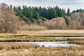 Edmonds Marsh Landscape Scene 9 Royalty Free Stock Photo