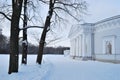 Winter on Elagin Island. St. Petersburg