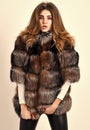 Winter elite luxury clothes. Female brown fur coat. Fur store model posing in soft fluffy warm coat. Pretty fashionista Royalty Free Stock Photo