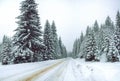 Winter road in the forest surrounded by snowy fir trees Royalty Free Stock Photo