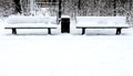 Winter in English Garden, Munich Royalty Free Stock Photo
