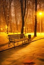 Winter evening in a central park Royalty Free Stock Photo