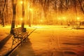 Winter evening in a central park Royalty Free Stock Photo