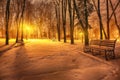 Winter evening in a central park Royalty Free Stock Photo