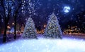 Winter  city , Christmas tree in evening town  park,blurred bokeh  light and moon on blue night sky Royalty Free Stock Photo
