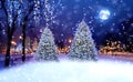 Winter  city , Christmas tree in evening town  park,blurred bokeh  light and moon on blue night sky Royalty Free Stock Photo