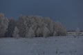 Winter evening forest and snow-covered trees. Beautiful forest in the snow late in the evening. Winter field in the village Royalty Free Stock Photo