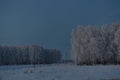 Winter evening forest and snow-covered trees. Beautiful forest in the snow late in the evening. Winter field in the village Royalty Free Stock Photo