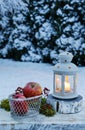 Winter evening in the garden. Iron lantern and basket of apples