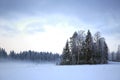 Winter Evening Landscape with Fog and Frosted Trees