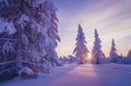 Winter Evening Landscape with tree Royalty Free Stock Photo