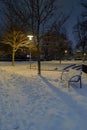 Winter evening in the park Royalty Free Stock Photo
