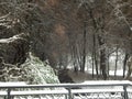 Winter evening river and snow in the park Royalty Free Stock Photo
