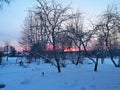 winter evening in the Russian village snow sunset pine trees Royalty Free Stock Photo