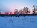 winter evening in the Russian village snow sunset pine trees Royalty Free Stock Photo