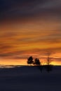 Winter evening sky Royalty Free Stock Photo