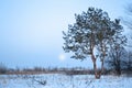 Winter evening in a snowy Russian province with a full Moon in the sky