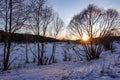 Winter evening. Sun through the trees. Snowy landscape. Russia Royalty Free Stock Photo