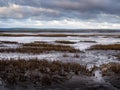 Winter evening view of the Skern area of Northam Burrows, near Appledore, North Devon. Royalty Free Stock Photo